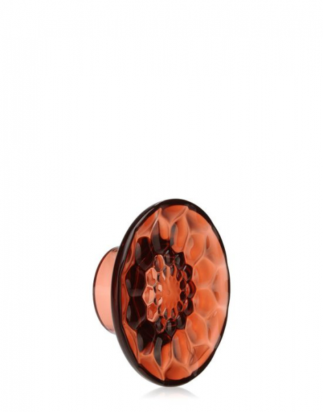Jellies Coat Hangers Middle