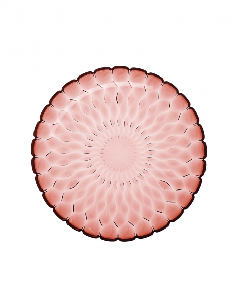 Jelly tác