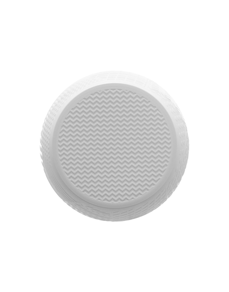 Roy, z expozice, bílá